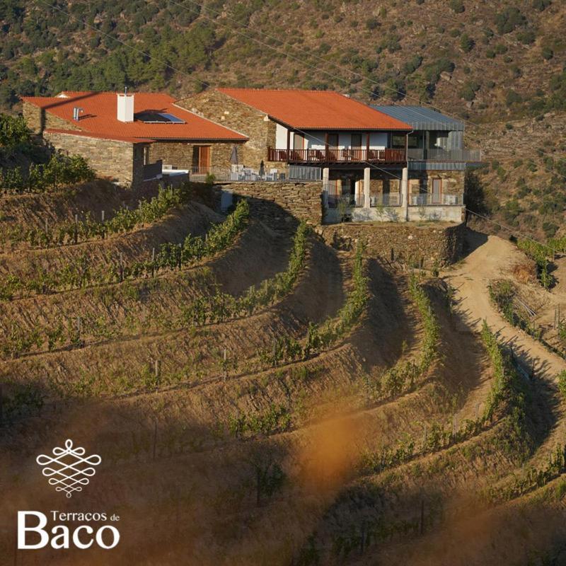 Terracos De Baco Villa Ribalonga Exterior photo